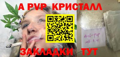 спайс Гагарин