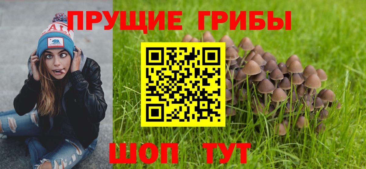 Галлюциногенные грибы GOLDEN TEACHER  Псилоцибиновые грибы Magic Shrooms  Вход с VPN  Мыски 